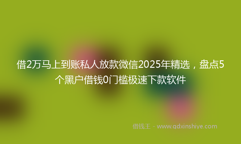 借2万马上到账私人放款微信2025年精选，盘点5个黑户借钱0门槛极速下款软件