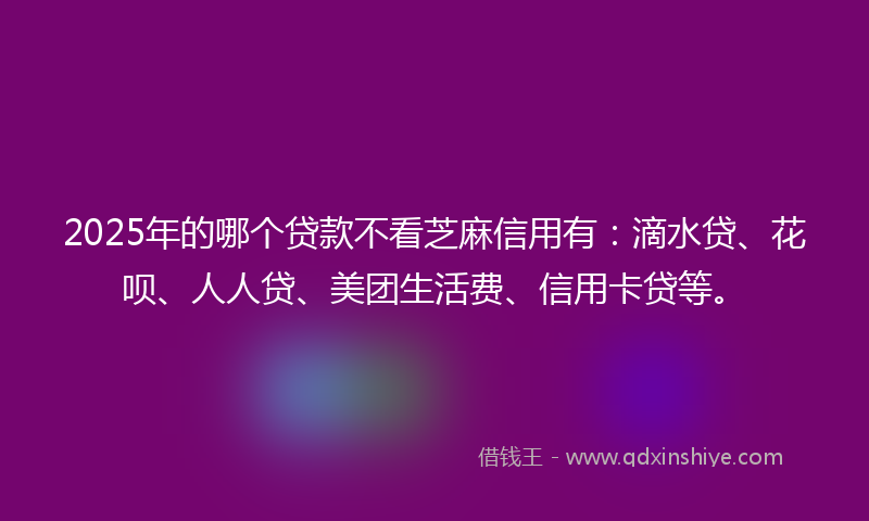 2025年的哪个贷款不看芝麻信用有：滴水贷、花呗、人人贷、美团生活费、信用卡贷等。