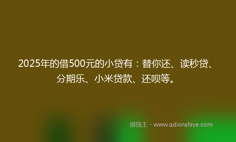 2025年的借500元的小贷有：替你还、读秒贷、分期乐、小米贷款、还呗等。