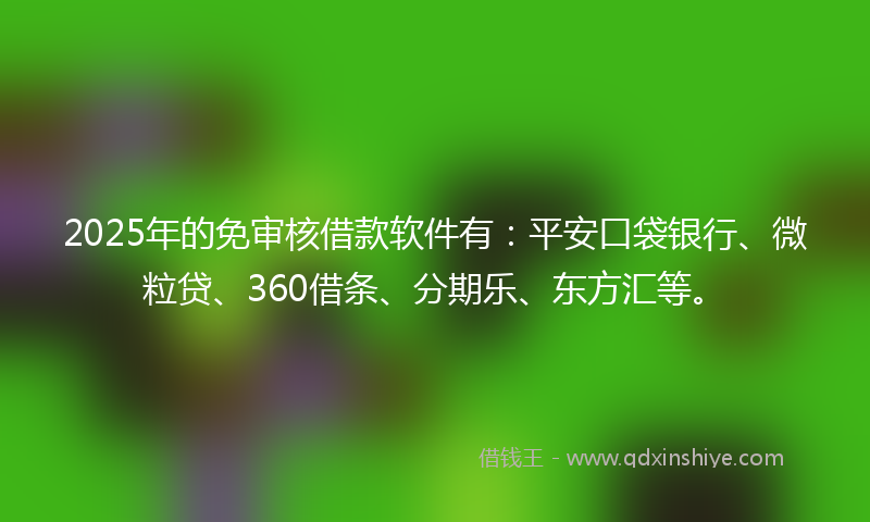 2025年的免审核借款软件有：平安口袋银行、微粒贷、360借条、分期乐、东方汇等。