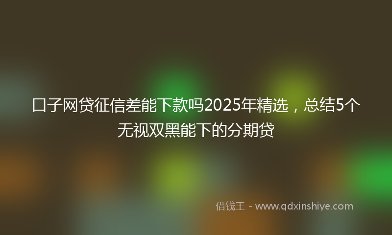 口子网贷征信差能下款吗2025年精选，总结5个无视双黑能下的分期贷