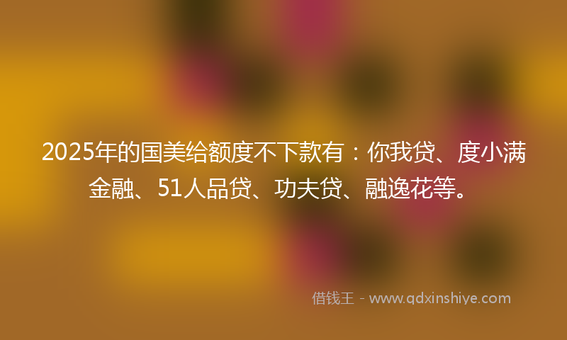 2025年的国美给额度不下款有：你我贷、度小满金融、51人品贷、功夫贷、融逸花等。