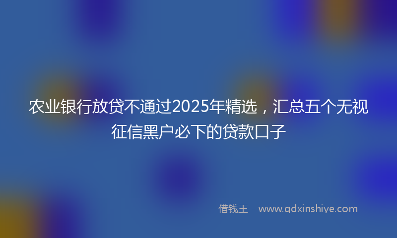 农业银行放贷不通过2025年精选，汇总五个无视征信黑户必下的贷款口子