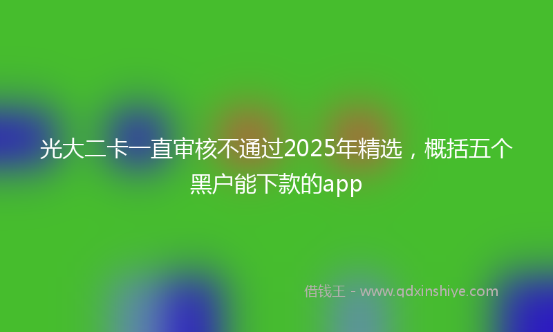 光大二卡一直审核不通过2025年精选，概括五个黑户能下款的app