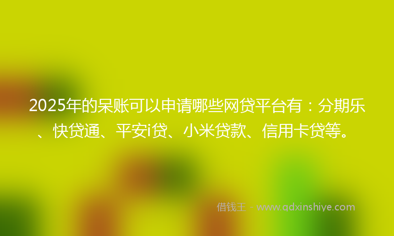 2025年的呆账可以申请哪些网贷平台有：分期乐、快贷通、平安i贷、小米贷款、信用卡贷等。