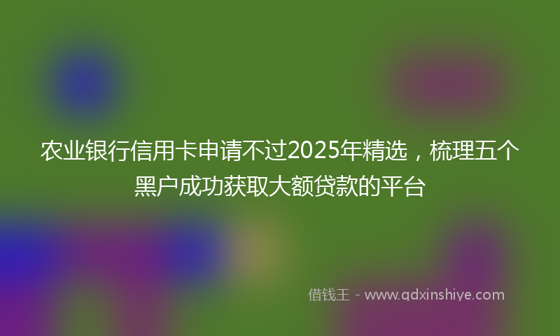 农业银行信用卡申请不过2025年精选，梳理五个黑户成功获取大额贷款的平台