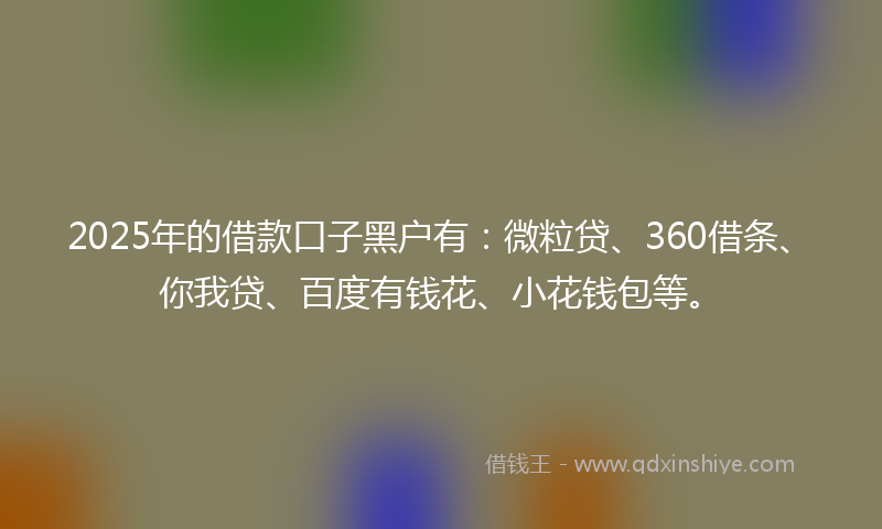 2025年的借款口子黑户有：微粒贷、360借条、你我贷、百度有钱花、小花钱包等。