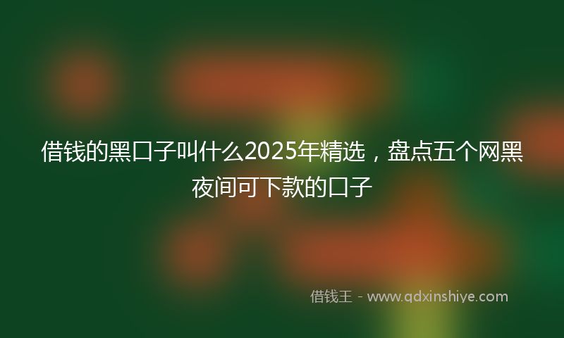 借钱的黑口子叫什么2025年精选，盘点五个网黑夜间可下款的口子