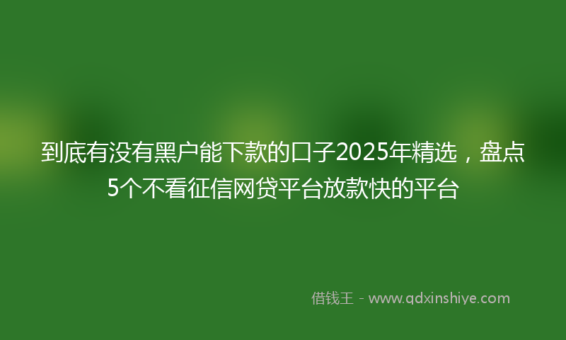 到底有没有黑户能下款的口子2025年精选，盘点5个不看征信网贷平台放款快的平台