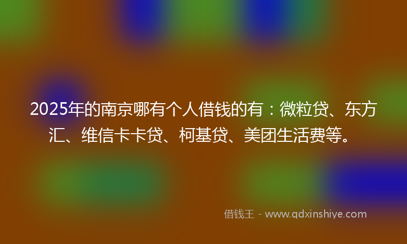 2025年的南京哪有个人借钱的有：微粒贷、东方汇、维信卡卡贷、柯基贷、美团生活费等。