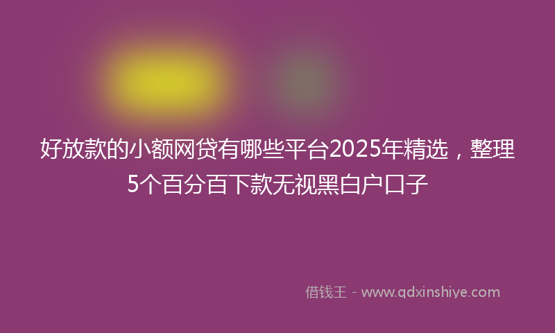 好放款的小额网贷有哪些平台2025年精选，整理5个百分百下款无视黑白户口子