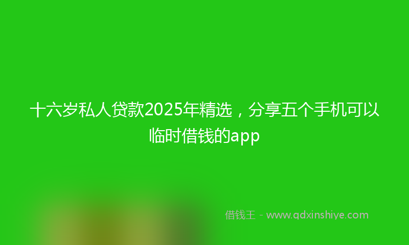 十六岁私人贷款2025年精选，分享五个手机可以临时借钱的app