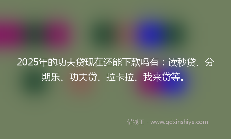 2025年的功夫贷现在还能下款吗有：读秒贷、分期乐、功夫贷、拉卡拉、我来贷等。