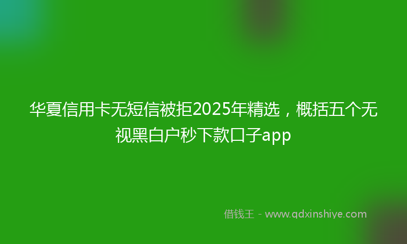 华夏信用卡无短信被拒2025年精选，概括五个无视黑白户秒下款口子app