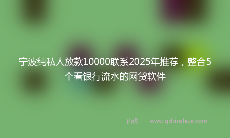 宁波纯私人放款10000联系2025年推荐，整合5个看银行流水的网贷软件