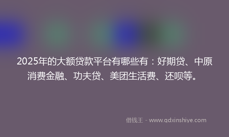 2025年的大额贷款平台有哪些有：好期贷、中原消费金融、功夫贷、美团生活费、还呗等。