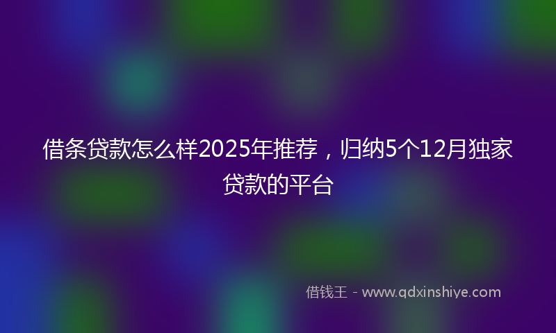 借条贷款怎么样2025年推荐，归纳5个12月独家贷款的平台