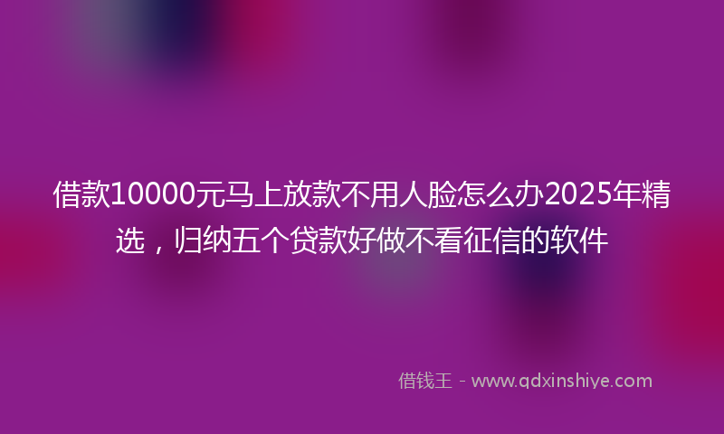 借款10000元马上放款不用人脸怎么办2025年精选，归纳五个贷款好做不看征信的软件