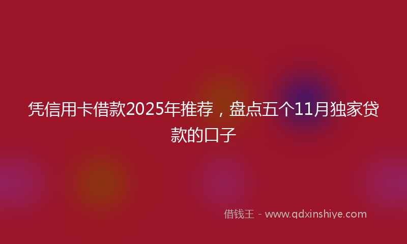 凭信用卡借款2025年推荐，盘点五个11月独家贷款的口子