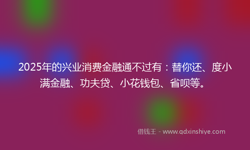 2025年的兴业消费金融通不过有：替你还、度小满金融、功夫贷、小花钱包、省呗等。