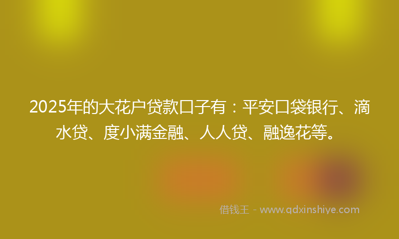 2025年的大花户贷款口子有：平安口袋银行、滴水贷、度小满金融、人人贷、融逸花等。