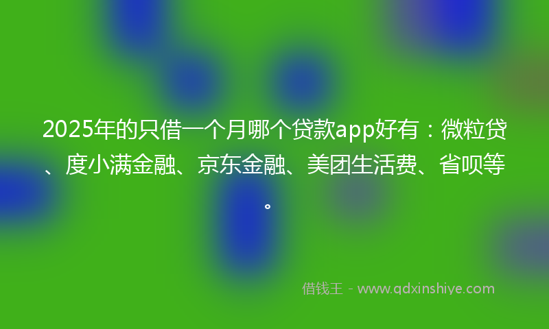 2025年的只借一个月哪个贷款app好有：微粒贷、度小满金融、京东金融、美团生活费、省呗等。