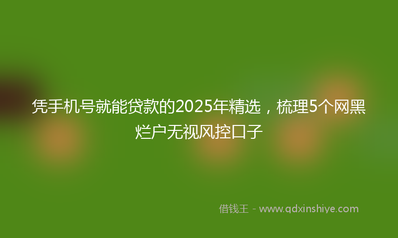 凭手机号就能贷款的2025年精选，梳理5个网黑烂户无视风控口子