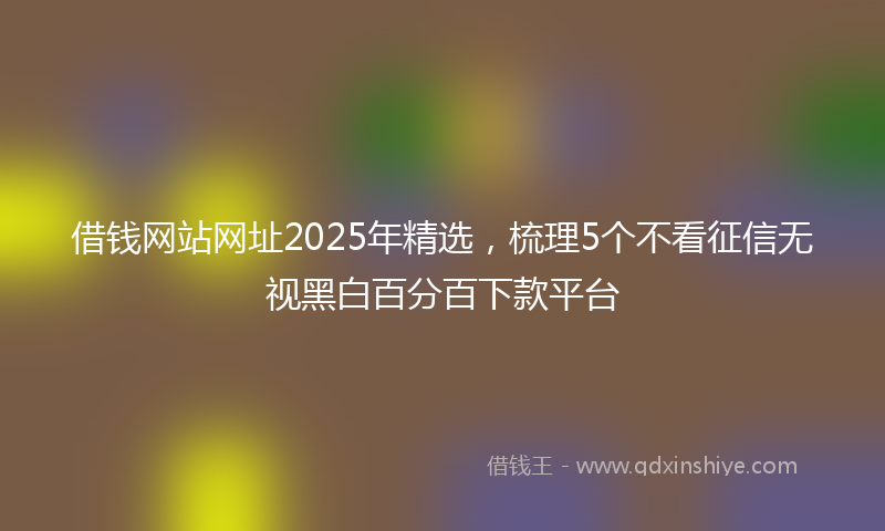 借钱网站网址2025年精选，梳理5个不看征信无视黑白百分百下款平台