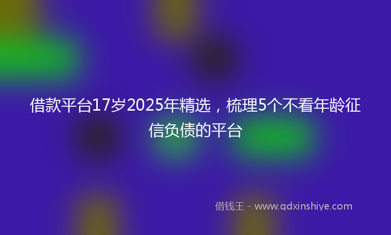 借款平台17岁2025年精选，梳理5个不看年龄征信负债的平台