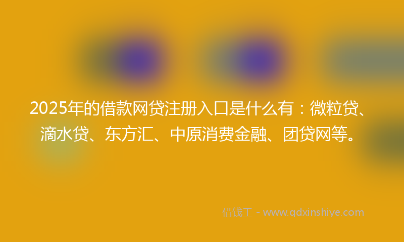 2025年的借款网贷注册入口是什么有：微粒贷、滴水贷、东方汇、中原消费金融、团贷网等。