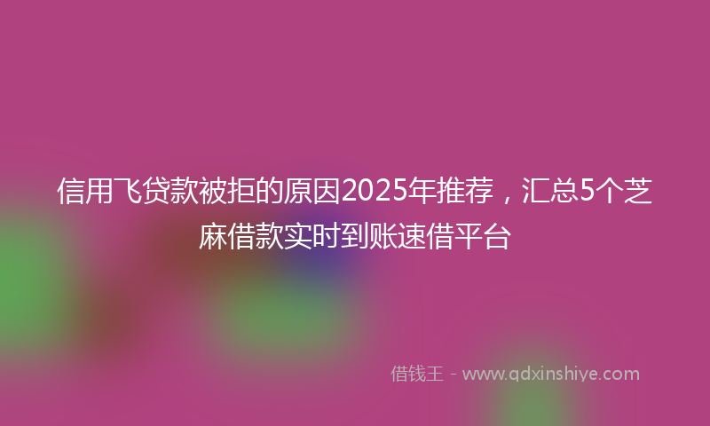 信用飞贷款被拒的原因2025年推荐，汇总5个芝麻借款实时到账速借平台