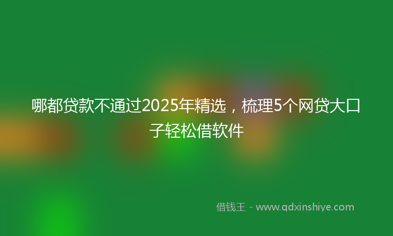 哪都贷款不通过2025年精选，梳理5个网贷大口子轻松借软件