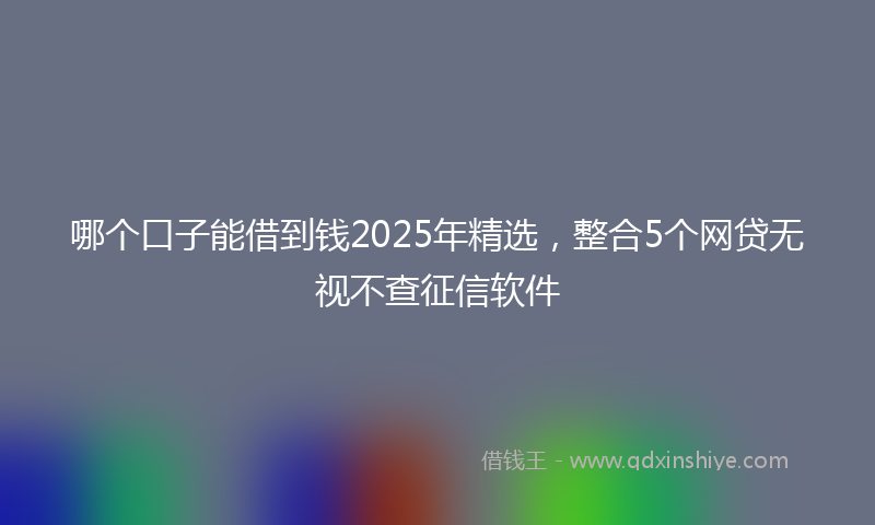 哪个口子能借到钱2025年精选，整合5个网贷无视不查征信软件