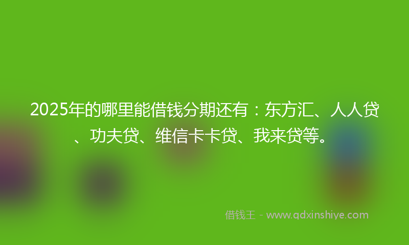 2025年的哪里能借钱分期还有：东方汇、人人贷、功夫贷、维信卡卡贷、我来贷等。