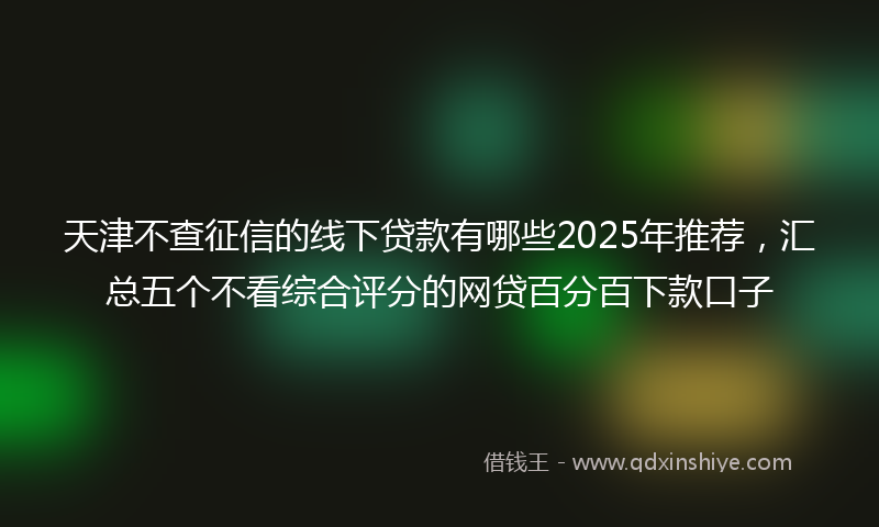 天津不查征信的线下贷款有哪些2025年推荐，汇总五个不看综合评分的网贷百分百下款口子