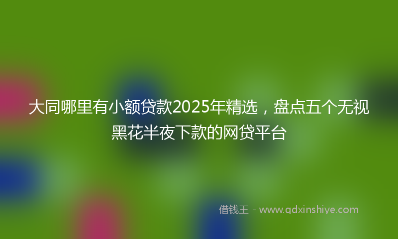 大同哪里有小额贷款2025年精选，盘点五个无视黑花半夜下款的网贷平台