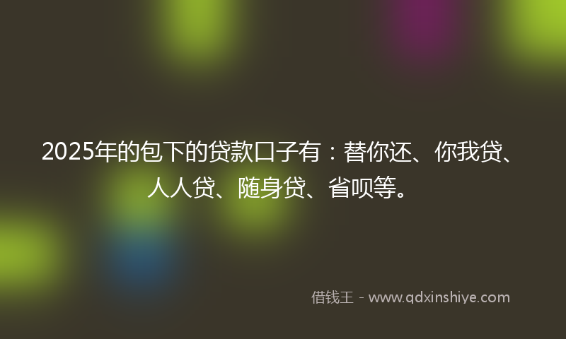 2025年的包下的贷款口子有：替你还、你我贷、人人贷、随身贷、省呗等。