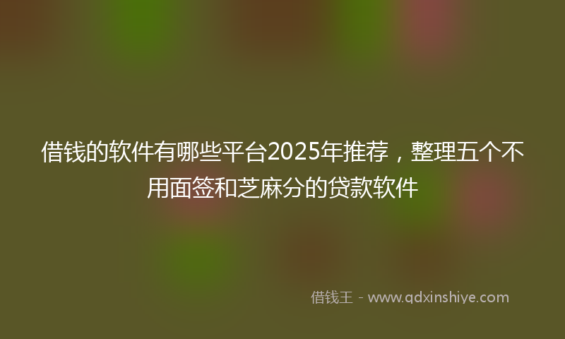 借钱的软件有哪些平台2025年推荐，整理五个不用面签和芝麻分的贷款软件