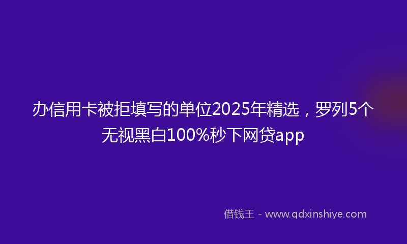 办信用卡被拒填写的单位2025年精选，罗列5个无视黑白100%秒下网贷app