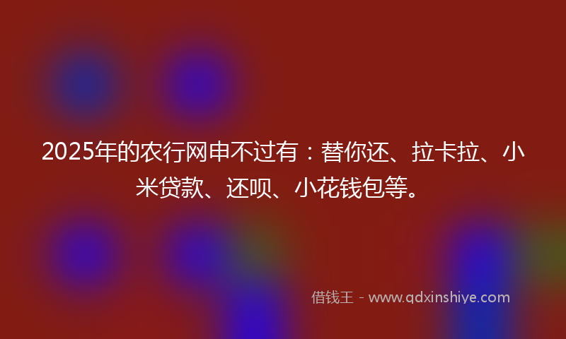 2025年的农行网申不过有：替你还、拉卡拉、小米贷款、还呗、小花钱包等。