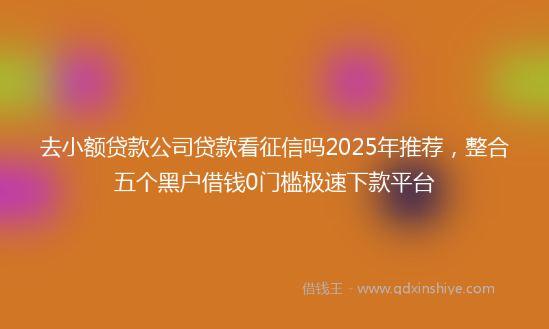 去小额贷款公司贷款看征信吗2025年推荐，整合五个黑户借钱0门槛极速下款平台