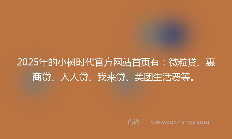 2025年的小树时代官方网站首页有：微粒贷、惠商贷、人人贷、我来贷、美团生活费等。
