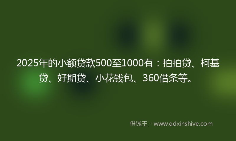 2025年的小额贷款500至1000有：拍拍贷、柯基贷、好期贷、小花钱包、360借条等。