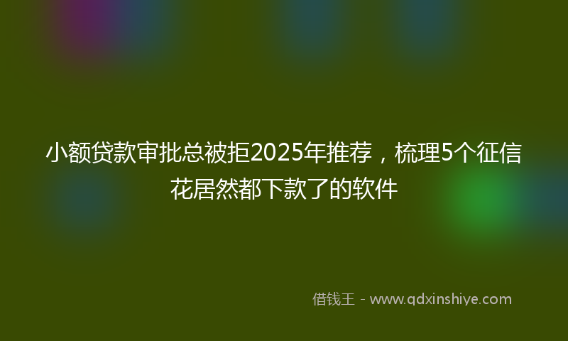 小额贷款审批总被拒2025年推荐，梳理5个征信花居然都下款了的软件