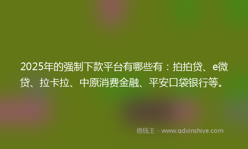 2025年的强制下款平台有哪些有：拍拍贷、e微贷、拉卡拉、中原消费金融、平安口袋银行等。
