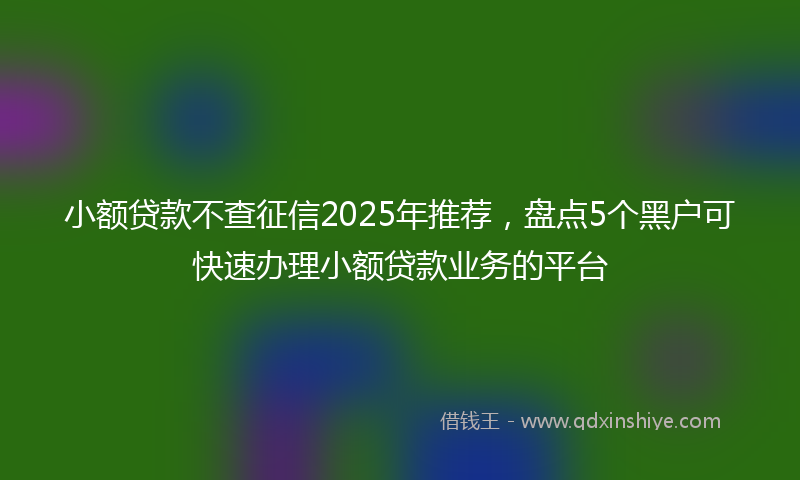 小额贷款不查征信2025年推荐，盘点5个黑户可快速办理小额贷款业务的平台