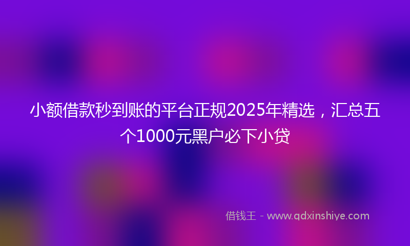 小额借款秒到账的平台正规2025年精选，汇总五个1000元黑户必下小贷