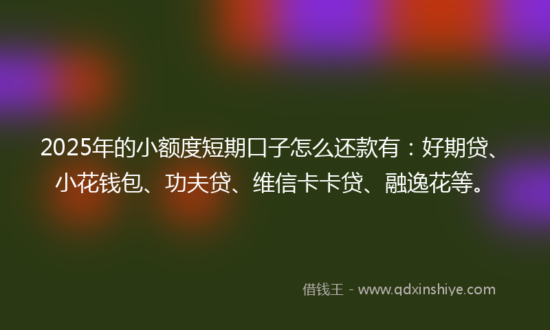 2025年的小额度短期口子怎么还款有：好期贷、小花钱包、功夫贷、维信卡卡贷、融逸花等。