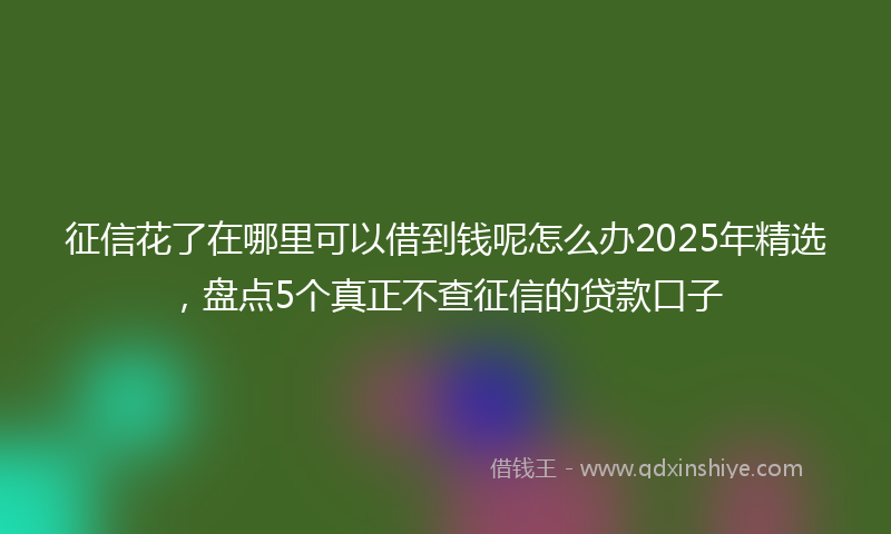 征信花了在哪里可以借到钱呢怎么办2025年精选，盘点5个真正不查征信的贷款口子
