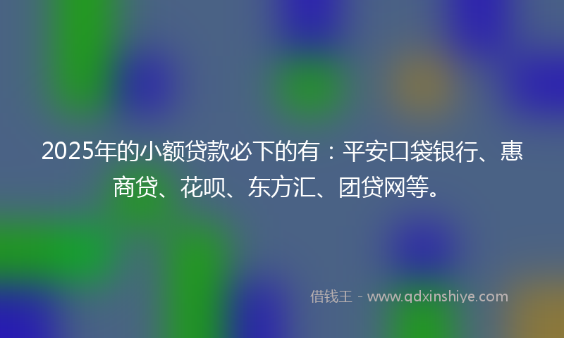 2025年的小额贷款必下的有：平安口袋银行、惠商贷、花呗、东方汇、团贷网等。